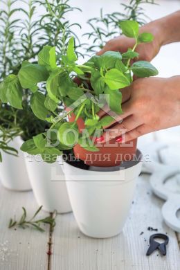 Горщик для рослин IVY Herbs білий, 7290106924055WHITE