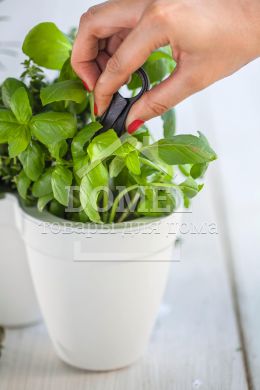 Горщик для рослин IVY Herbs білий, 7290106924055WHITE