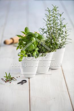 Горщик для рослин IVY Herbs білий, 7290106924055WHITE