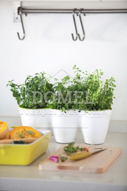 Горщик для рослин IVY Herbs білий, 7290106924055WHITE
