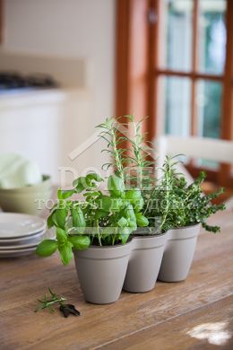 Горщик для рослин Ivy Herbs колір сірий, 7290106924055GREY
