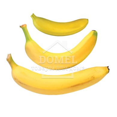 Контейнер для банану, Контейнер для зберігання, Харчовий пластик, Пластик, Овальна