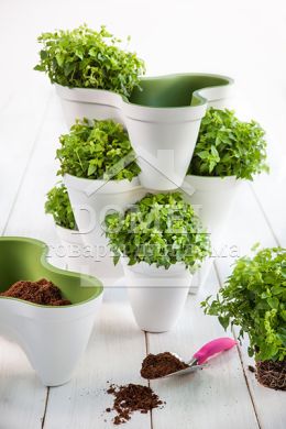 Горщик для рослин IVY planter біл-зелен., 7290103661380