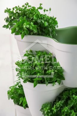 Горщик для рослин IVY planter біл-зелен., 7290103661380