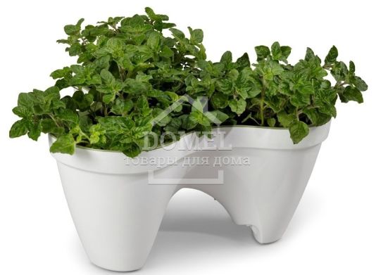 Горщик для рослин IVY planter біл-зелен., 7290103661380