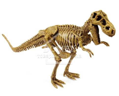 Geoworld Яйця динозаврів Юрського періоду - "Скелети", Від 6 років, Наукові ігри