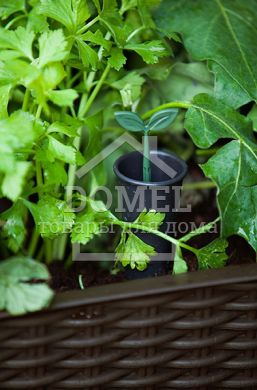 Грядка Easy grow коричневий, 7290005559822