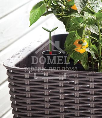 Грядка Easy grow коричневий, 7290005559822