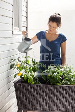 Грядка Easy grow коричневий, 7290005559822