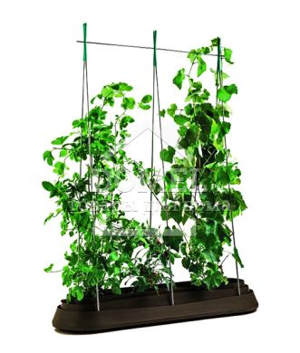 Грядка G-Row з дном коричн., 7290106927667