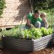 Грядка Garden Bed чорн., 7290103659806