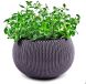 Горщик для рослин COZIES M бузковий в комплекті ланюжок, 7290106929890