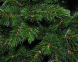 Сосна с инеем FOREST FROSTED, 2,15 м, зеленая, Сосна, Зеленый, 200 - 300 см