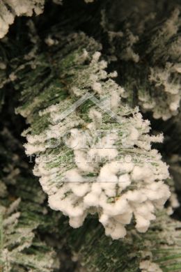 Сосна искусственная Millington зеленая с эффектом покрытия снегом, 2,15 м, Black Box &reg;, Сосна, Зеленый, белый, Снег, 200 - 300 см