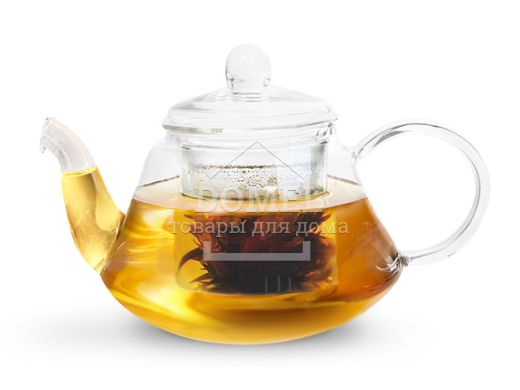 Заварочный чайник 1000 мл со стальным фильтром (жаропрочное стекло), От 500 мл.  до 1 л., Стекло, Заварочный чайник
