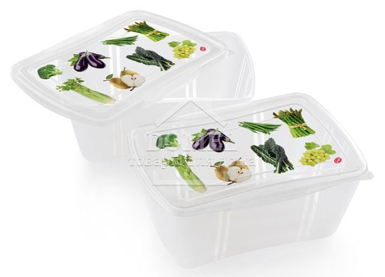 Контейнер для зберігання "2 в 1", 2,0 л, комплект із 2 шт, 2 л, Контейнер для зберігання, Харчовий пластик, Без кришки, Прямокутна