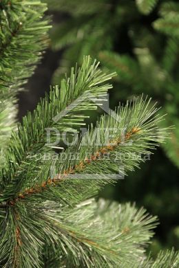 Сосна искусственная Medford зеленая, 1,85 м, Black Box &reg;, Сосна, Зеленый, 150 - 200 см