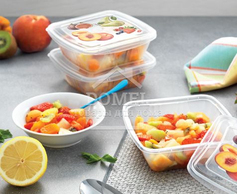 Контейнер для зберігання "3 в 1", 0,5 л, комплект із 3 шт, 500 мл, Контейнер для зберігання, Харчовий пластик, Пластик, Квадратна