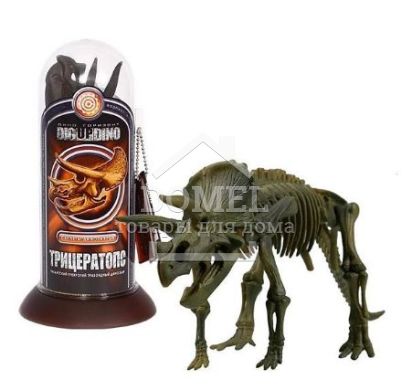 Скелети динозаврів-Тріцератопс TEST-TUBE SKELETON - TRICERATOPS