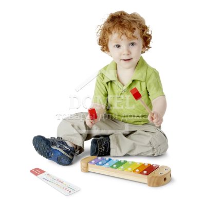 MD8964 Wooden Caterpillar Xylophone (Ксилофон Гусеница)