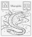 MD19111 English Alphabet Dinosaur Colouring Pad (Гигантская раскраска с динозаврами "Английский алфавит")