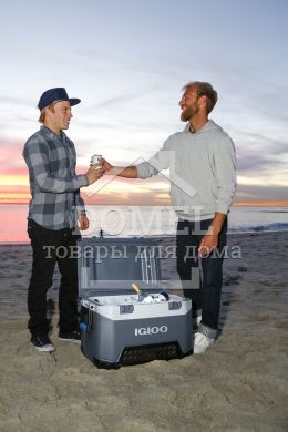 Ізотермічний контейнер 49 л, Igloo BMX 52, Igloo (США), Від 21 до 50 л., 5 дн.