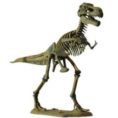 T-Rex Big Dino (Скелет динозавра - Тиранозавр), Від 5 років, Скилет динозаврів