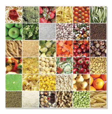 MD9035 Square Meals ("Правильное питание" - напольный пазл, 500 эл.)