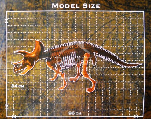 Triceratops Big Dino (Скелет динозавра - Тріцератопс), Від 5 років, Скилет динозаврів