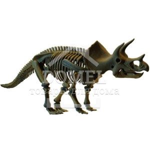 Triceratops Big Dino (Скелет динозавра - Тріцератопс), Від 5 років, Скилет динозаврів