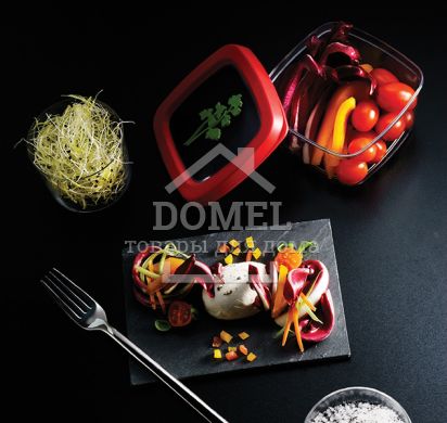 Контейнер для хранения, 0,5 л, 500 мл, Контейнер для хранения, Пищевой пластик, Пластик, Квадратная