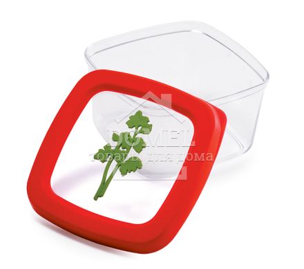Контейнер для хранения, 0,5 л, 500 мл, Контейнер для хранения, Пищевой пластик, Пластик, Квадратная
