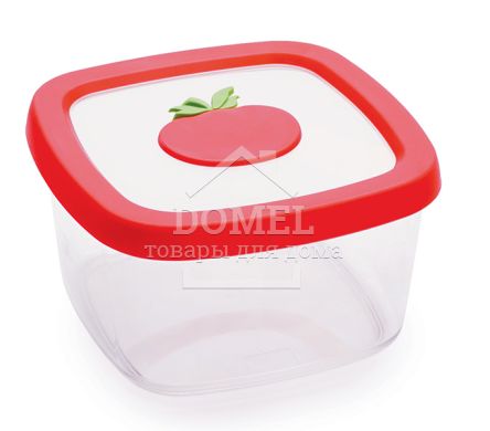 Контейнер для хранения, 1,0 л, 1 л, Контейнер для хранения, Пищевой пластик, Пластик, Квадратная