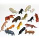 T097 Wild Animals (Дикі тварини)