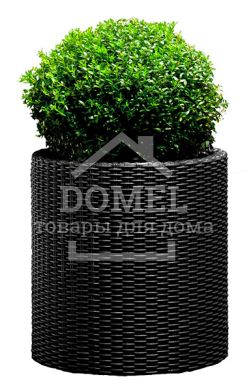 Горщик для квітів L Cylinder Planter сірий, 7290103669430