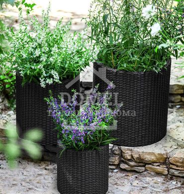 Набір горщиків для квітів Cylinder Planter Set, сірий, 7290106920453