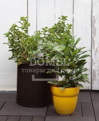Набір горщиків для квітів Cylinder Planter Set, коричневий, 7290103664787