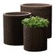 Набір горщиків для квітів Cylinder Planter Set, коричневий, 7290103664787