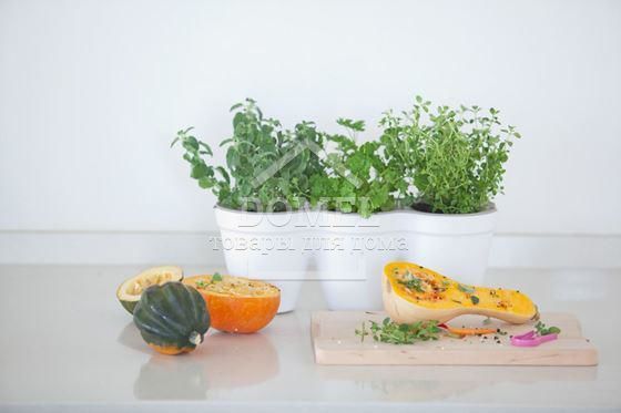 Горшок для цветов Ivy Herbs, 7290103668112