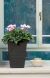 Горщик для рослин Rattan Planter S, (small) 23,6 л, 7290103659257