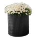 Горщик для квітів S Cylinder Planter сірий, 7290103668204