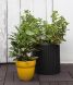 Горщик для квітів S Cylinder Planter сірий, 7290103668204