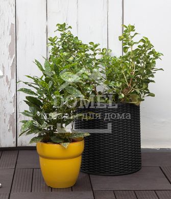 Горщик для квітів S Cylinder Planter сірий, 7290103668204