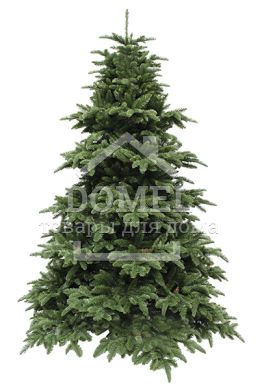 Елка искусственная Abies Nordmann de Luxe зеленая, 2,30 м, Triumph Tree Edelman, Ёлка, Зеленый, 200 - 300 см