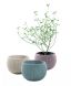 Горщик для рослин COZIES Herb Pot, комплект із 3-х шт, колір: бузковий + блакитний+ беж, 7290106932159