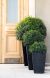 Горшок для цветов Medium Rattan Planter серый, 7290103659288