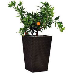 Горщик для квітів Large Rattan Planter коричн., 7290103659295