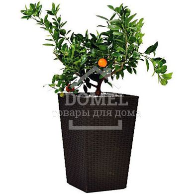 Горшок для цветов Large Rattan Planter коричневый, 7290103659295