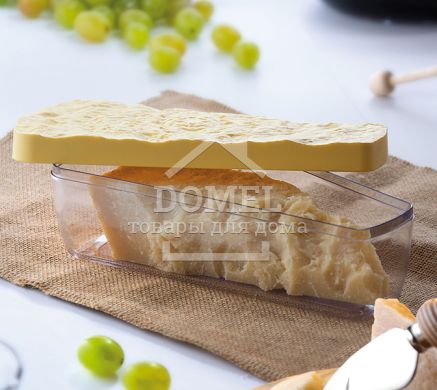 Контейнер для сыра 0,9 л пармез, 900 мл, Контейнер для хранения, Пищевой пластик, Пластик, Прямоугольная