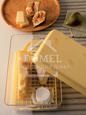 Контейнер для сыра 3 л, 3 л, Контейнер для хранения, Пищевой пластик, Пластик, Прямоугольная